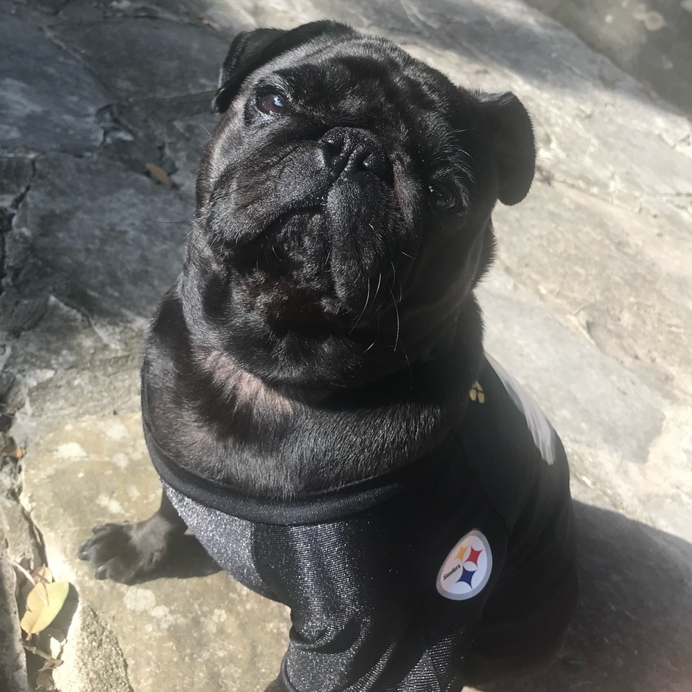 Meet your Posher, Allie